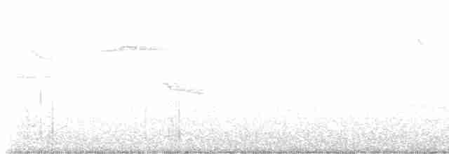 Brown-headed Cowbird - ML619504463
