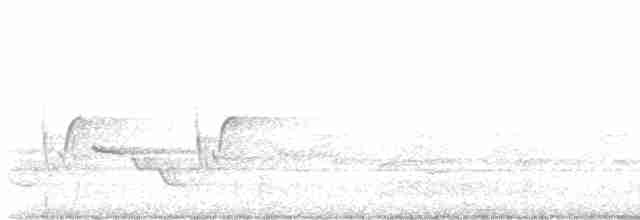 Каролинский крапивник - ML619504552