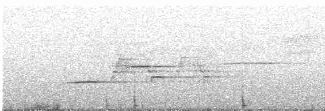 Дрізд-короткодзьоб плямистоволий - ML619504600