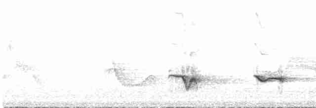 Піранга пломениста - ML619504855