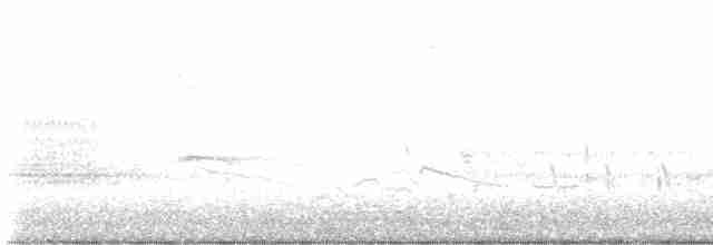 vlhovec červenokřídlý - ML619504871
