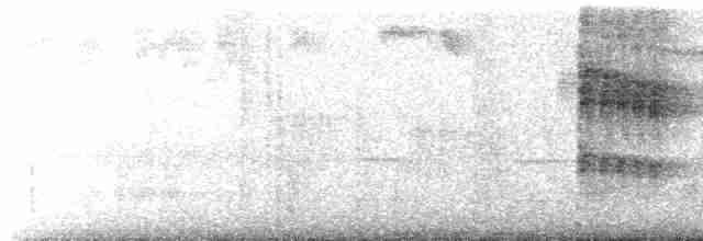Kahverengi Karınlı Tapakola - ML619505130