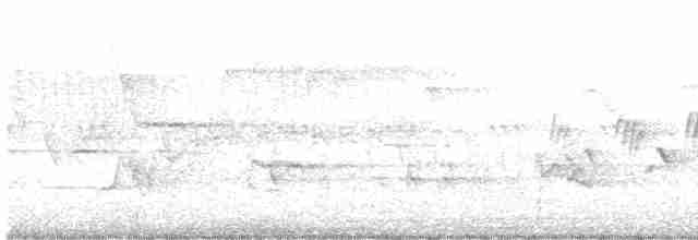 Черногорлая хвойница - ML619505407