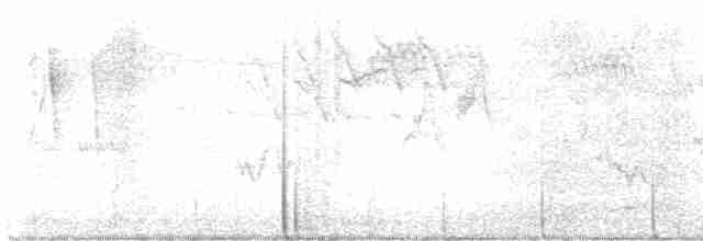 Kara Kanatlı Piranga - ML619506071