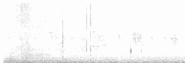 Шишкар ялиновий - ML619506363