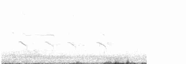 tanımsız Passeriformes sp. - ML619506786