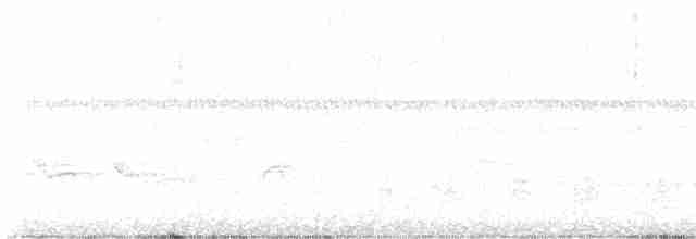 Oriole des vergers - ML619506861