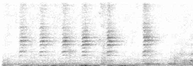 Méliphage carillonneur - ML619507006