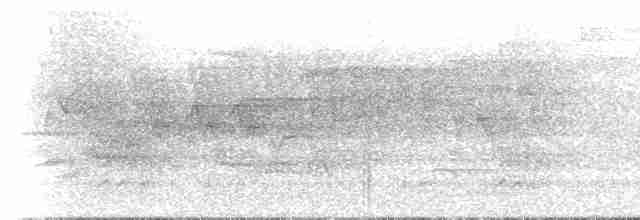 Cerulean Warbler - ML619507191