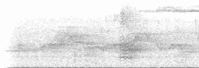 nordmyggsmett (caerulea) - ML619507221