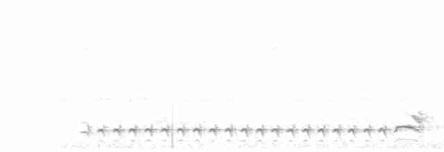 svartnakkemaurvarsler - ML619507291