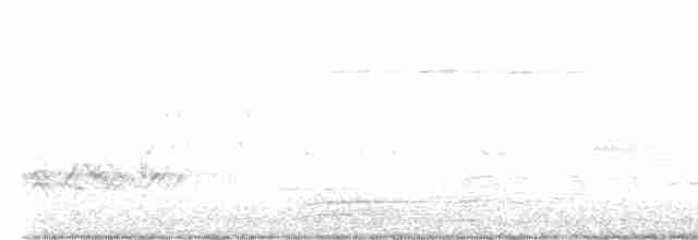 Doğulu Mavi Ardıç - ML619507335