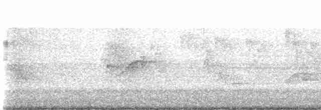 Sarı Karınlı Boreal Sinekkapan - ML619507636