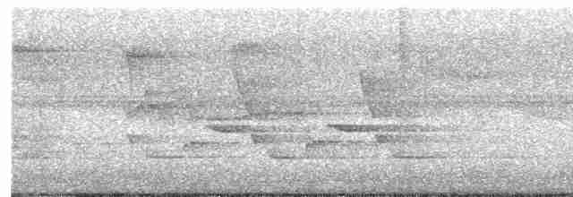 Каролинский крапивник - ML619507676