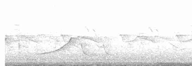 Pluvier kildir - ML619507928