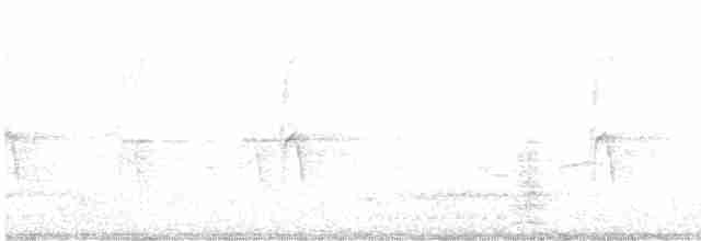 Чапля північна [група herodias] - ML619507994