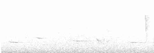 Белоголовая мохуа - ML619508163