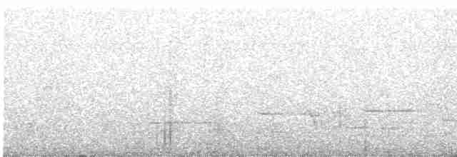 Méliphage carillonneur - ML619508192