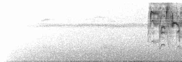 Semillero Oscuro - ML619508288