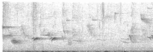 Длинноклювый пересмешник - ML619508505