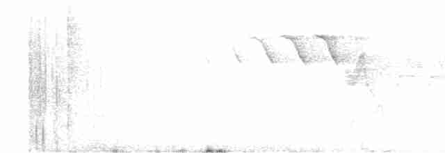 Белоголовый орлан - ML619508687