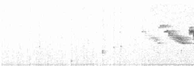 Black-throated Gray Warbler - ML619508818