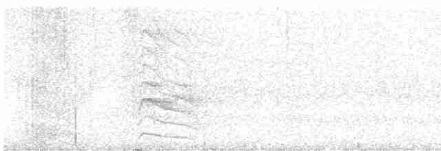 Ширококрылый канюк - ML619508878