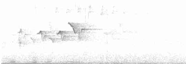 Чернокрылая пиранга - ML619508922