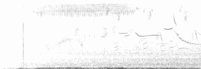 Çekirge Sesli Çayır Serçesi - ML619509005