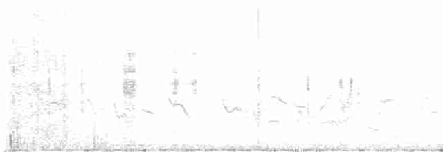 Txinbo papargorrizta iberiarra - ML619509045