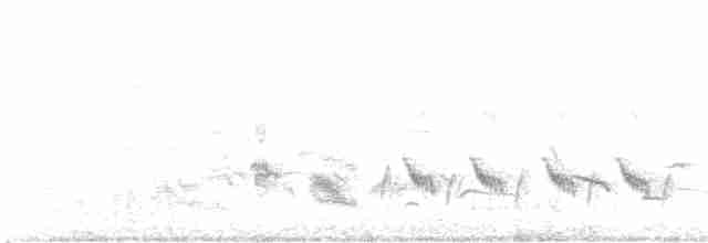 Western Orphean Warbler - ML619509093
