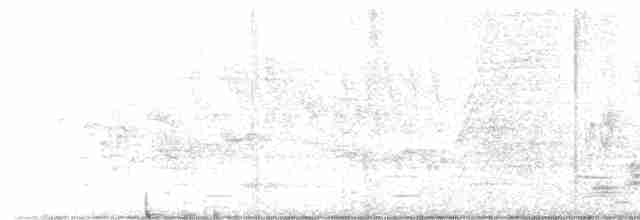 Черногорлая хвойница - ML619509392