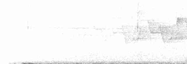 Common Yellowthroat - ML619509434