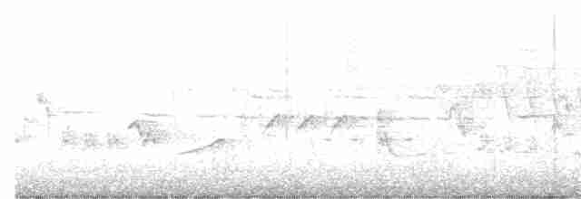 Oriole des vergers - ML619509574