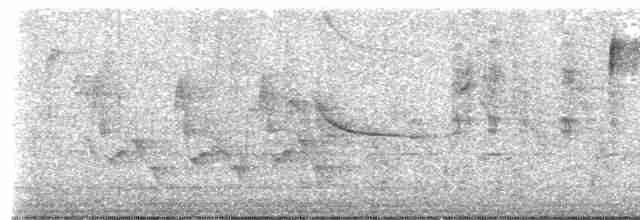 Длинноклювый пересмешник - ML619509640