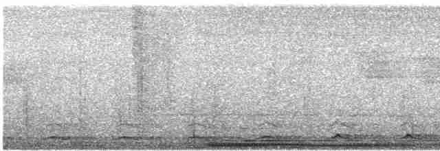 Trogon à queue noire (macroura) - ML619509820