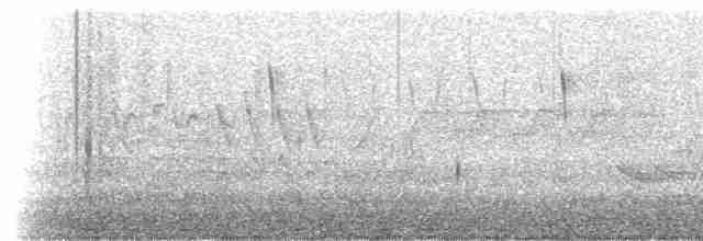 Common Merganser (North American) - ML619510131