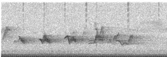 Чернокрылая пиранга - ML619510210