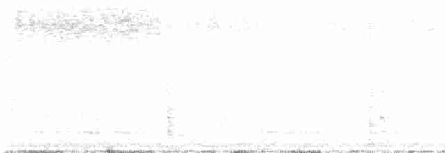 Прерийный кроншнеп - ML619510684