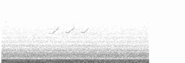 Einsiedelwasserläufer - ML619511606