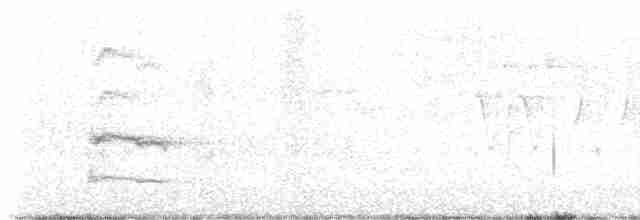 drozdec hnědý - ML619512024