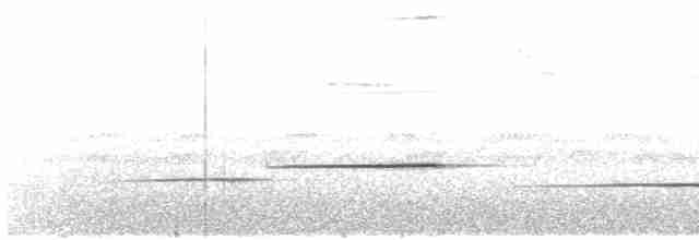 Kestane Göğüslü Çıtkuşu - ML619512448