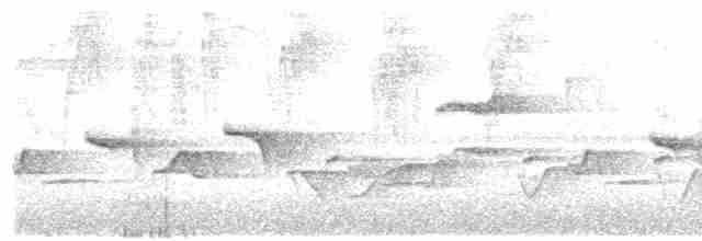 Серогрудый крапивник - ML619512460