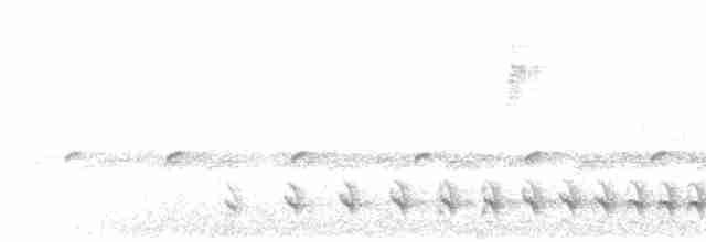 Bar-crested Antshrike - ML619512515