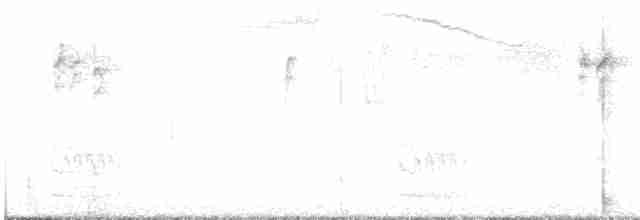 Кактусовый дятел - ML619512521