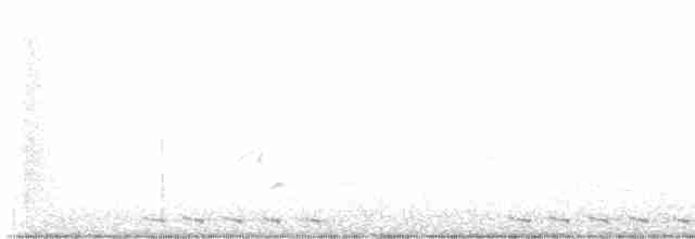 Black-billed Cuckoo - ML619512567