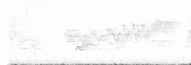 Cerulean Warbler - ML619512568