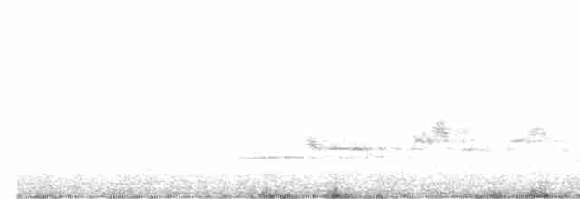 Münzevi Bülbül Ardıcı - ML619512994