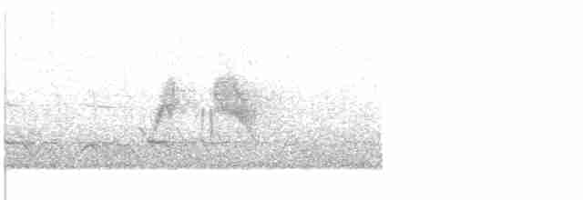 Ивовый мухолов - ML619513086