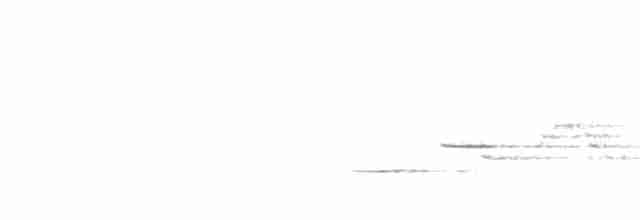 Münzevi Bülbül Ardıcı - ML619513206